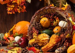 harvest_fall_thanksgiving
